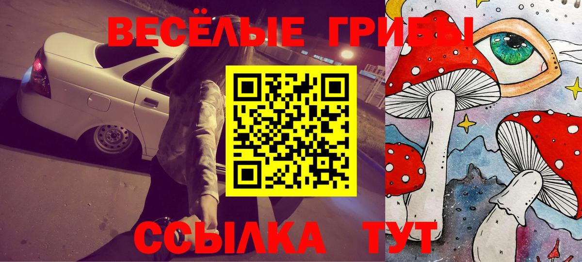 Галлюциногенные грибы ЛСД  Вход с VPN  Галлюциногенные грибы Cubensis  Йошкар-Ола 